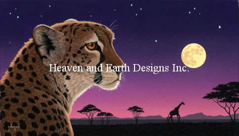 Cheetah Twilight - Click Image to Close